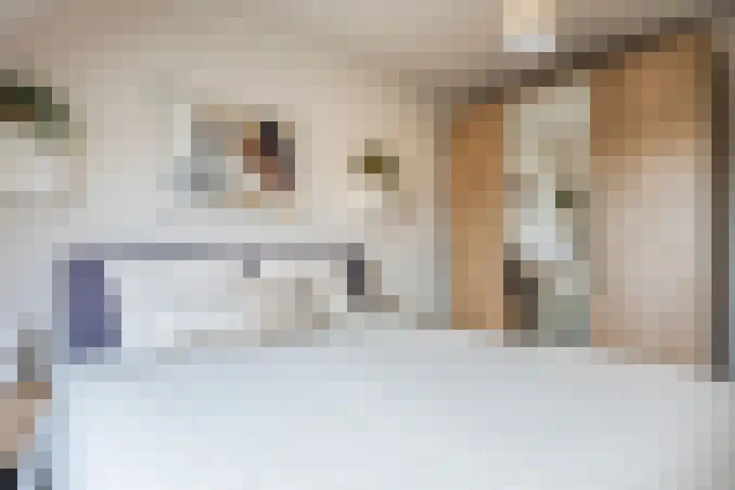 Albert Ruylweg 8 Sleeuwijk thumbnail 18