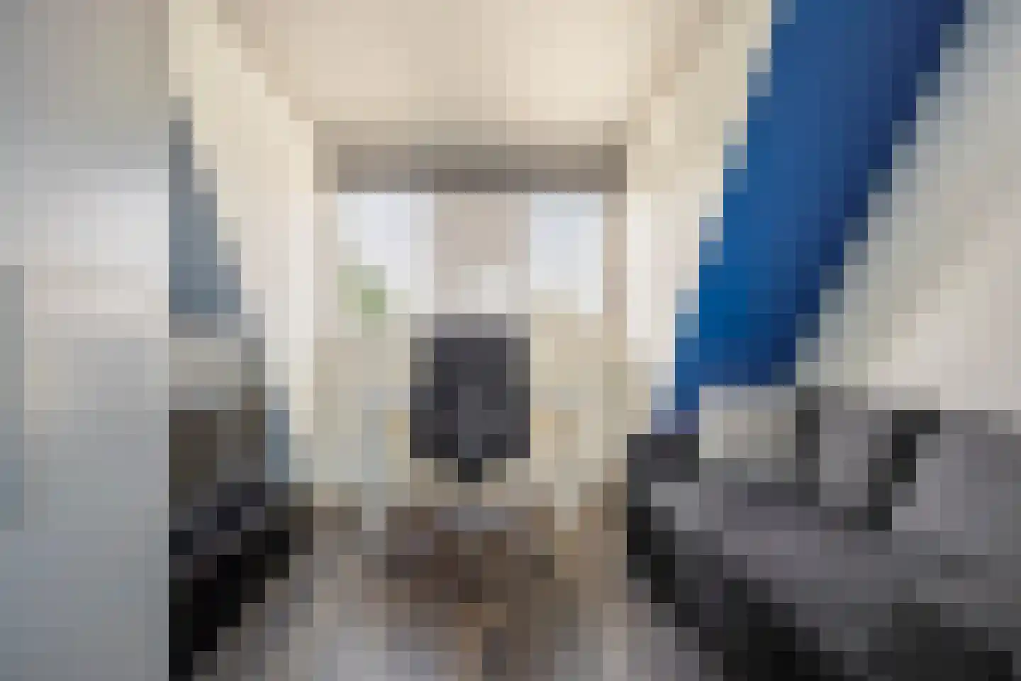 Albert Ruylweg 8 Sleeuwijk thumbnail 26
