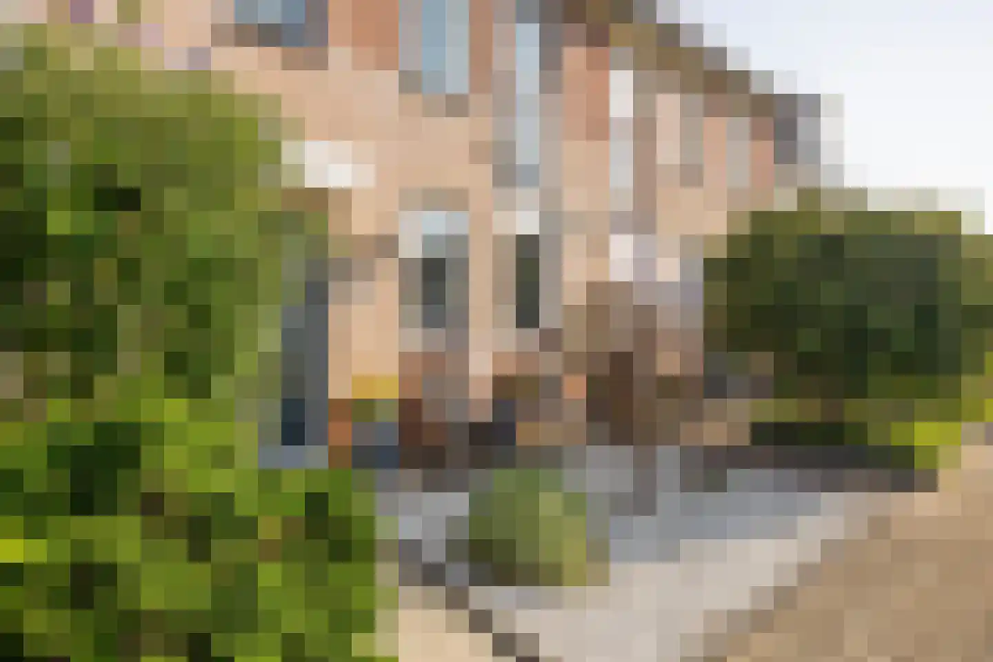 Albert Ruylweg 8 Sleeuwijk thumbnail 4
