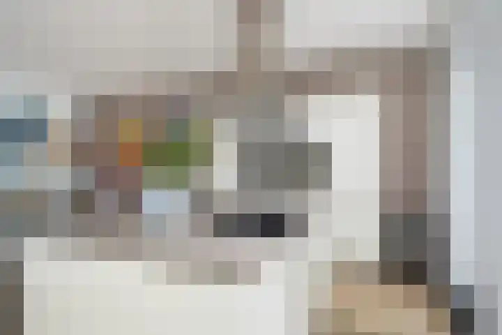 Albert Sabinhof 25 Rotterdam thumbnail 10