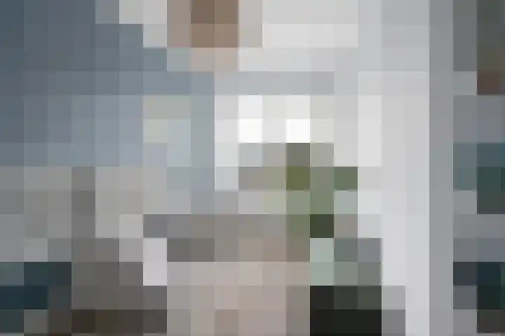 Albert Sabinhof 25 Rotterdam thumbnail 24