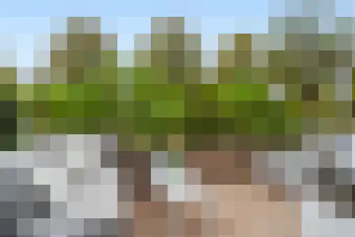 Albert Sabinhof 25 Rotterdam thumbnail 30