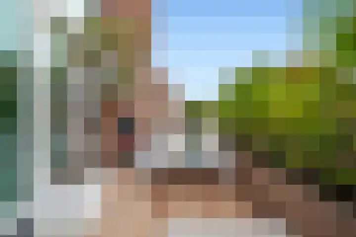 Albert Sabinhof 25 Rotterdam thumbnail 31