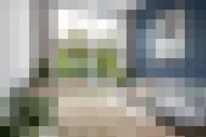 Albert Sabinhof 25 Rotterdam thumbnail 5