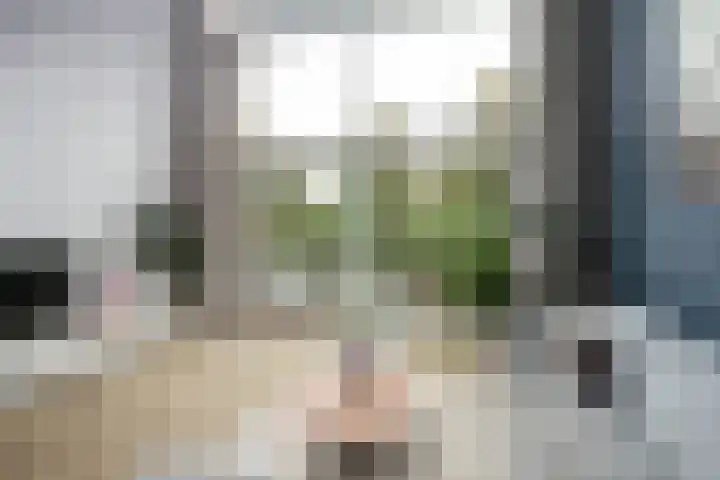 Albert Sabinhof 25 Rotterdam thumbnail 7