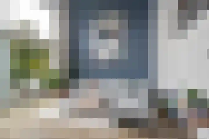 Albert Sabinhof 25 Rotterdam thumbnail 8