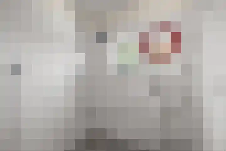 Albert Schultenshof 5 Amsterdam thumbnail 15