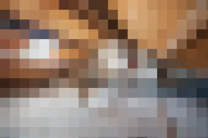 Albert Schultenshof 5 Amsterdam thumbnail 16