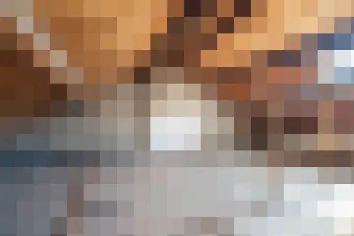 Albert Schultenshof 5 Amsterdam thumbnail 17