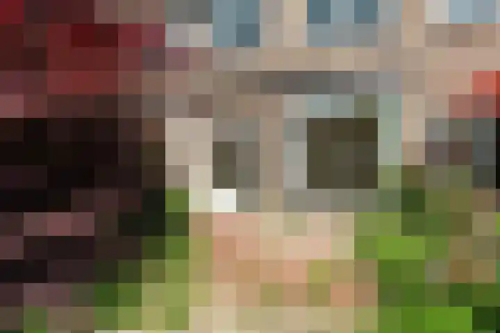 Albert Schultenshof 5 Amsterdam thumbnail 21
