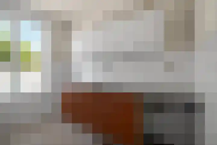 Albert Schultenshof 5 Amsterdam thumbnail 6