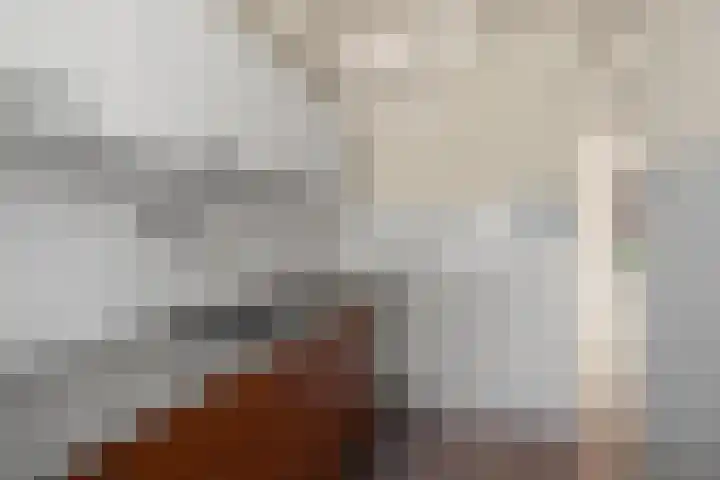 Albert Schultenshof 5 Amsterdam thumbnail 8