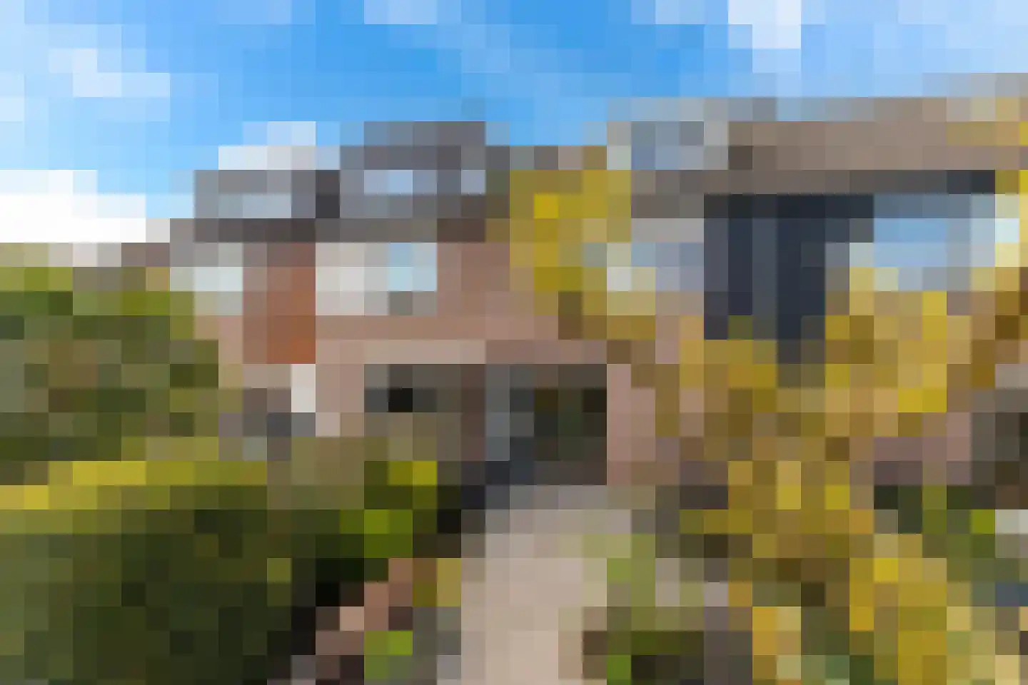 Albert Schweitzererf 6 Oud-Beijerland thumbnail 21