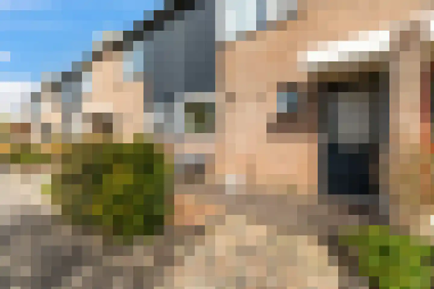Albert Schweitzererf 6 Oud-Beijerland thumbnail 27