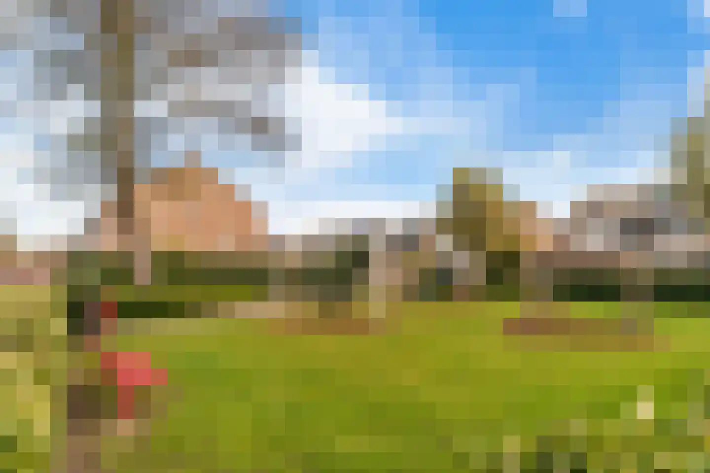 Albert Schweitzererf 6 Oud-Beijerland thumbnail 31