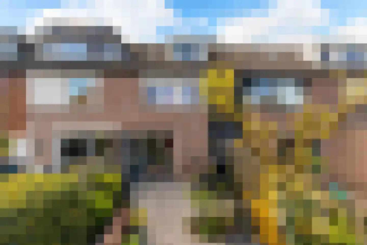 Albert Schweitzererf 6 Oud-Beijerland thumbnail 32