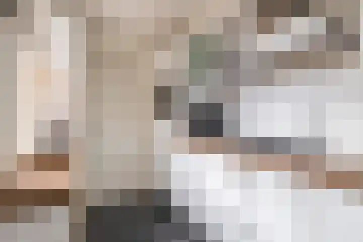 Albert Schweitzerlaan 10 Schoonhoven thumbnail 15