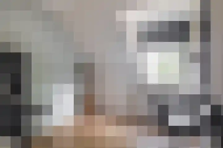 Albert Schweitzerlaan 10 Schoonhoven thumbnail 24