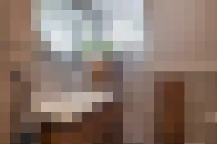 Albert Schweitzerlaan 10 Schoonhoven thumbnail 25