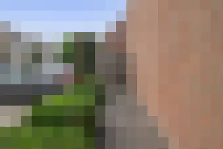 Albert Schweitzerlaan 10 Schoonhoven thumbnail 32