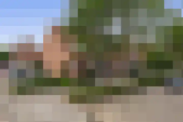 Albert Schweitzerlaan 10 Schoonhoven thumbnail 33
