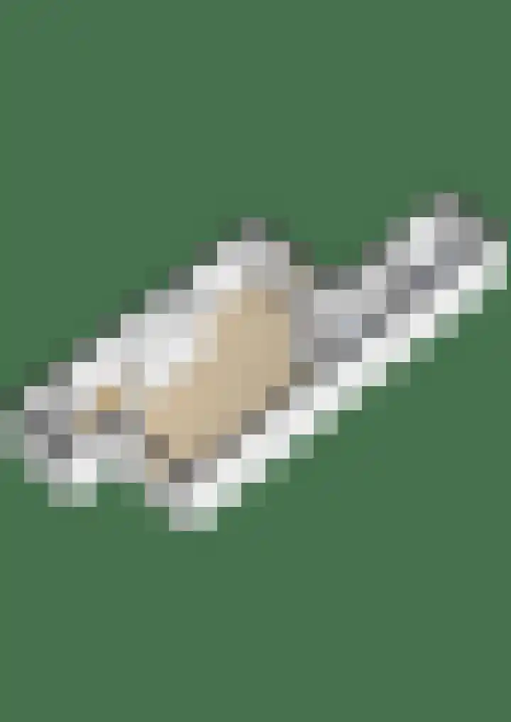 Albert Schweitzerlaan 10 Schoonhoven thumbnail 35