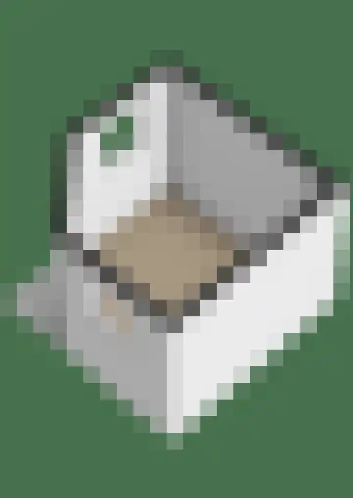 Albert Schweitzerlaan 10 Schoonhoven thumbnail 39
