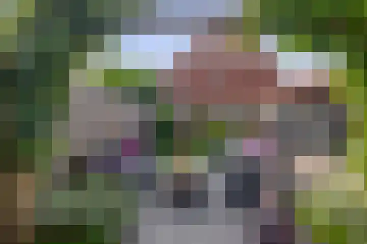 Albert Schweitzerlaan 10 Schoonhoven thumbnail 5