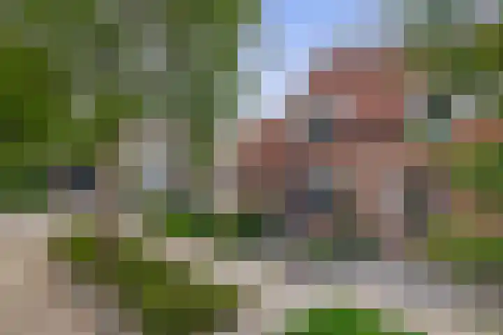 Albert Schweitzerlaan 10 Schoonhoven thumbnail 6