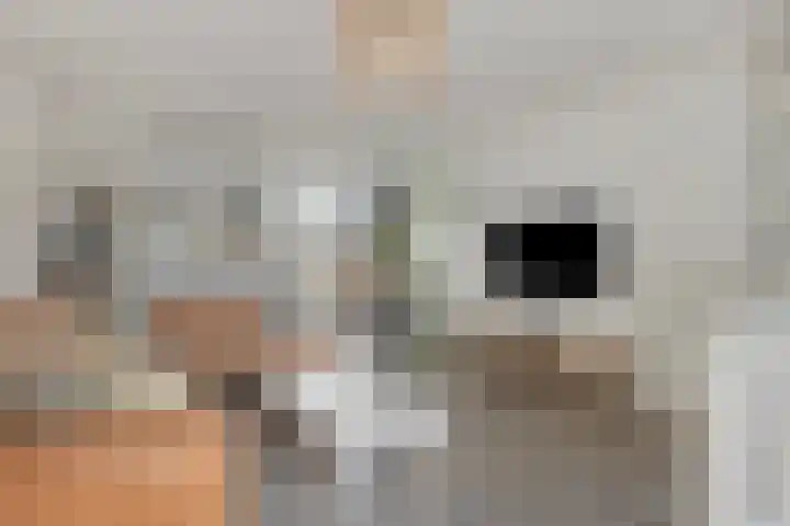 Albert Schweitzerlaan 12 Schoonhoven thumbnail 10