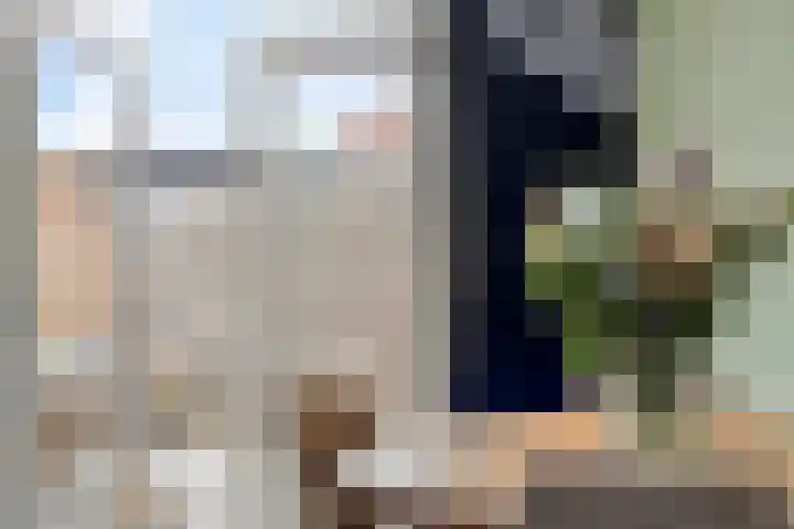 Albert Schweitzerlaan 12 Schoonhoven thumbnail 11