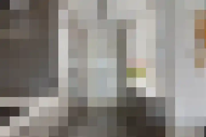 Albert Schweitzerlaan 12 Schoonhoven thumbnail 14