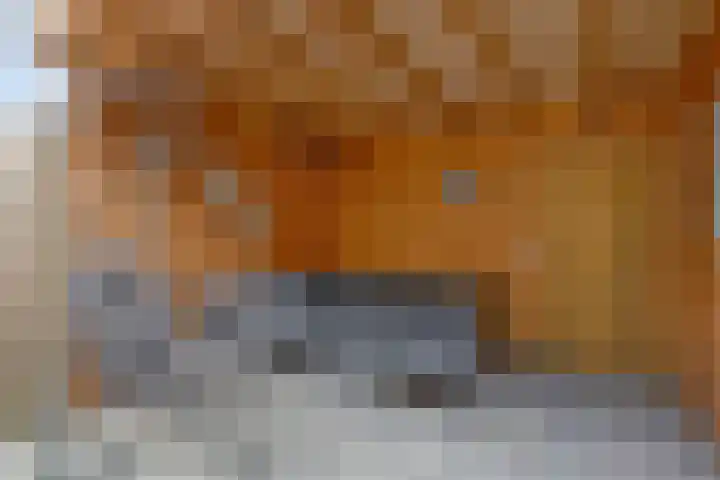 Albert Schweitzerlaan 12 Schoonhoven thumbnail 20