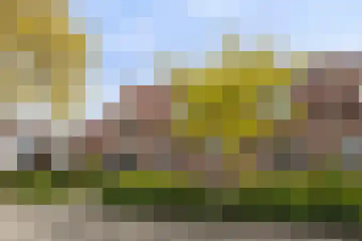 Albert Schweitzerlaan 12 Schoonhoven thumbnail 34