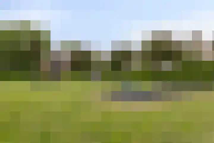 Albert Schweitzerlaan 12 Schoonhoven thumbnail 35