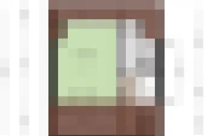 Albert Schweitzerlaan 12 Schoonhoven thumbnail 38