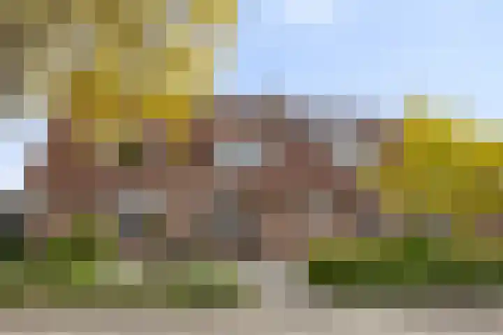 Albert Schweitzerlaan 12 Schoonhoven thumbnail 4