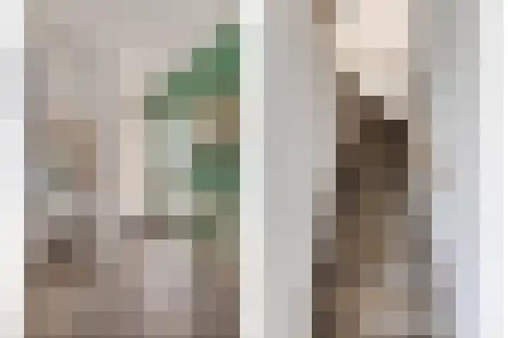 Albert Schweitzerlaan 12 Schoonhoven thumbnail 7