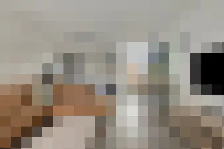 Albert Schweitzerlaan 12 Schoonhoven thumbnail 8