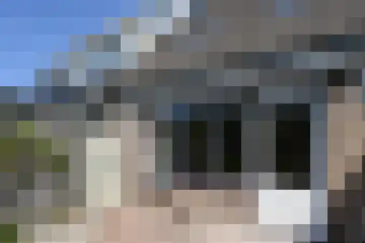 Albert Schweitzerlaan 148 Den Haag thumbnail 16