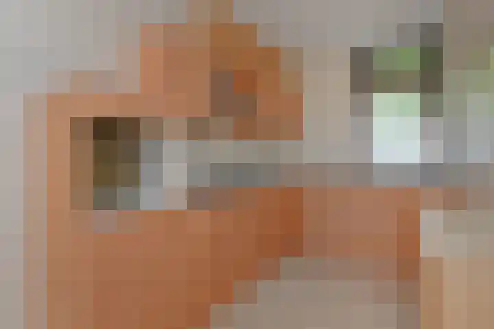 Albert Schweitzerlaan 148 Den Haag thumbnail 9
