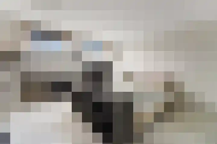 Albert Schweitzerlaan 160 Den Haag thumbnail 32