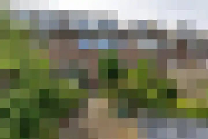Albert Schweitzerlaan 17 Haarlem thumbnail 12