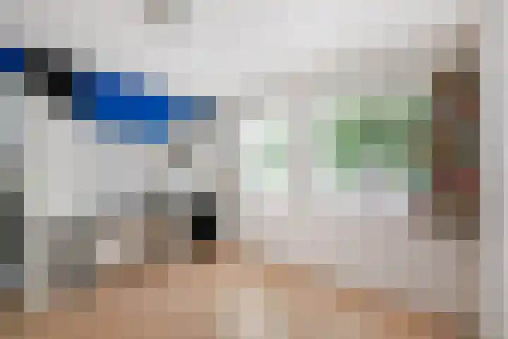 Albert Schweitzerlaan 17 Haarlem thumbnail 20