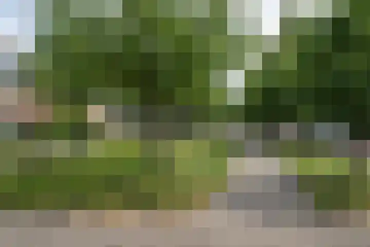Albert Schweitzerlaan 17 Haarlem thumbnail 31