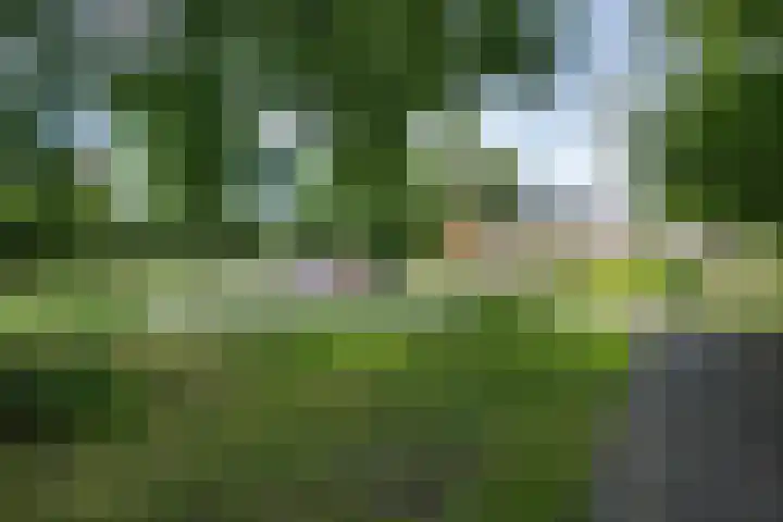 Albert Schweitzerlaan 17 Haarlem thumbnail 32