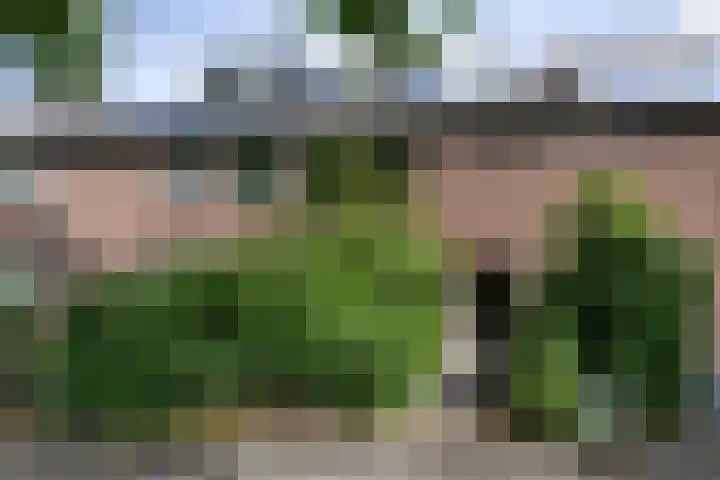 Albert Schweitzerlaan 17 Haarlem thumbnail 39