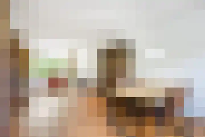 Albert Schweitzerlaan 17 Haarlem thumbnail 5