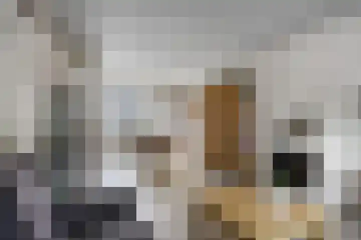 Albert Schweitzerlaan 20 IJsselmuiden thumbnail 4
