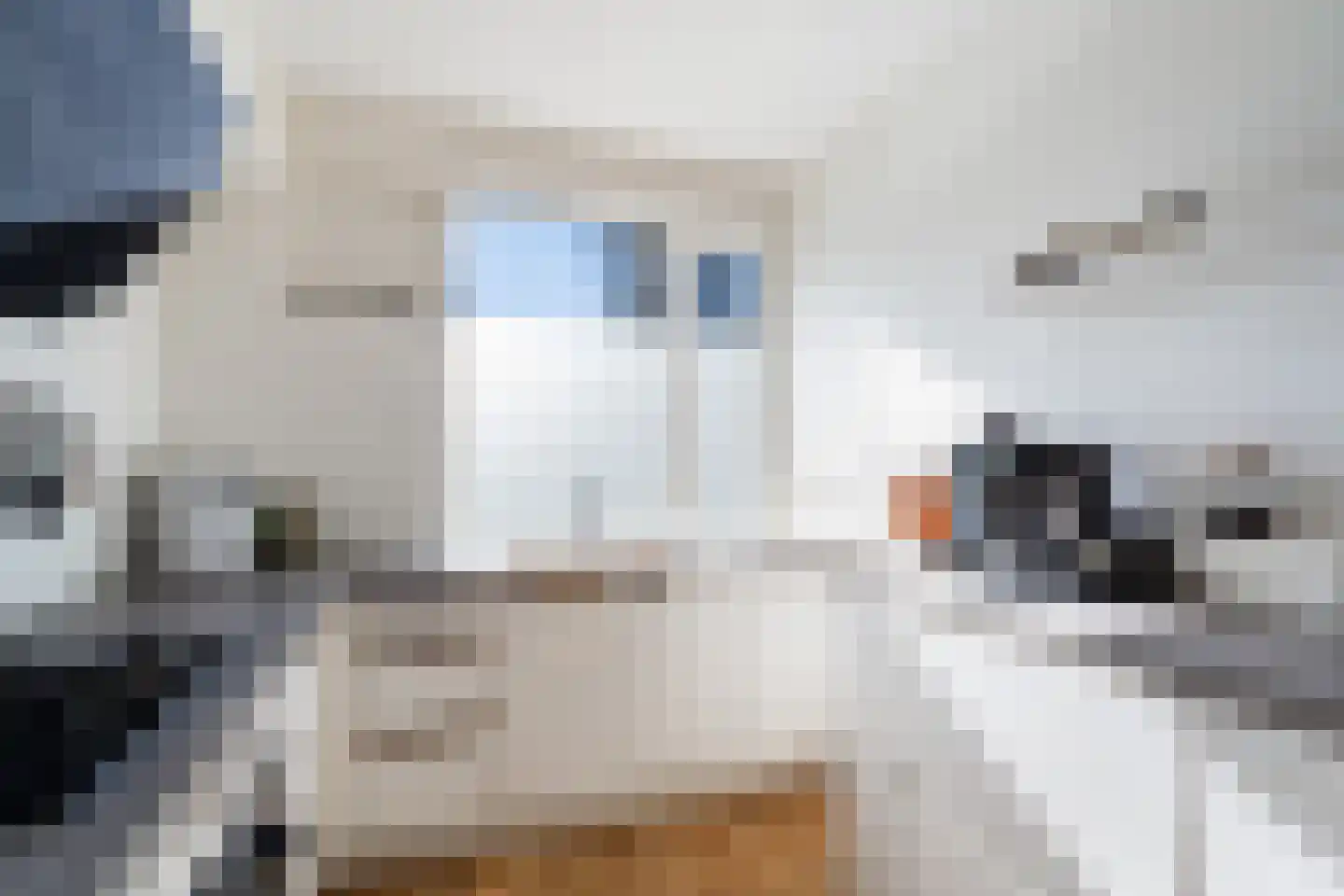 Albert Schweitzerlaan 215 Den Haag thumbnail 17